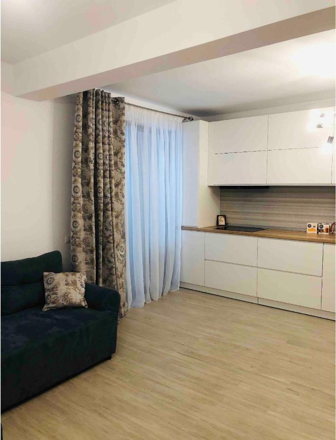 Apartment Luxury Римніку-Вилча Екстер'єр фото